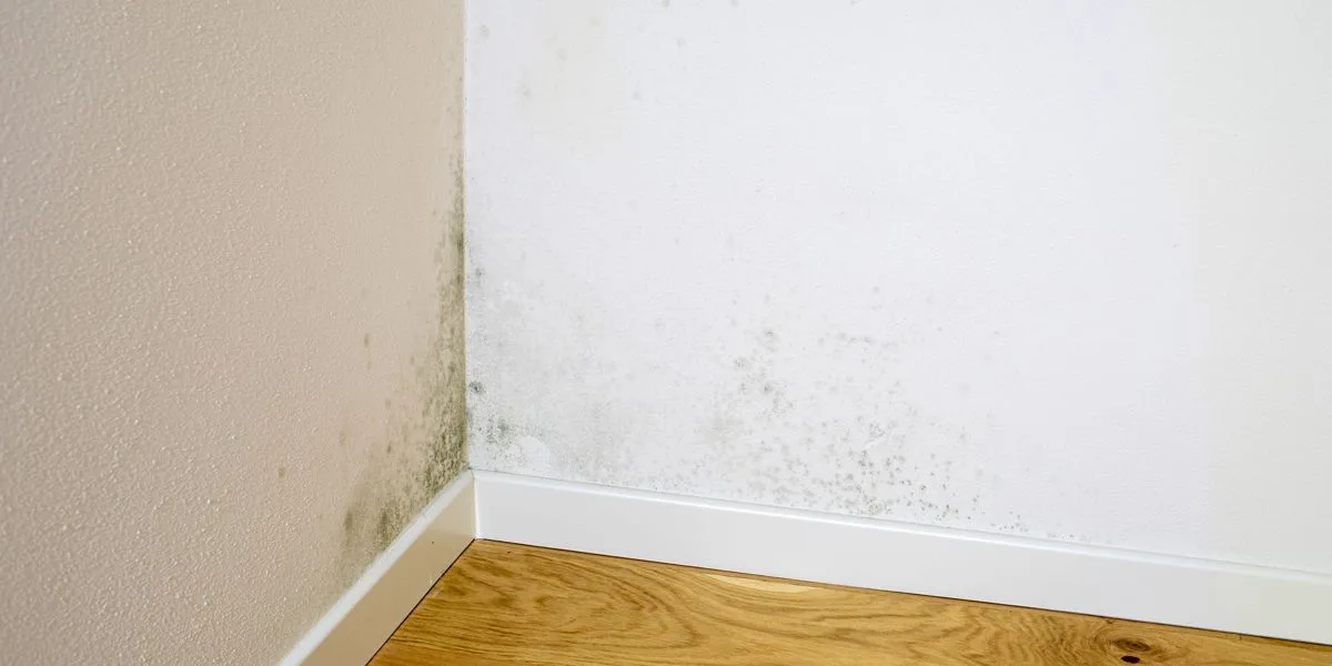 interior-wall-moisture-staining-siding-failure-ontario Water staining on interior drywall near an exterior wall caused by failing siding on an Ontario home