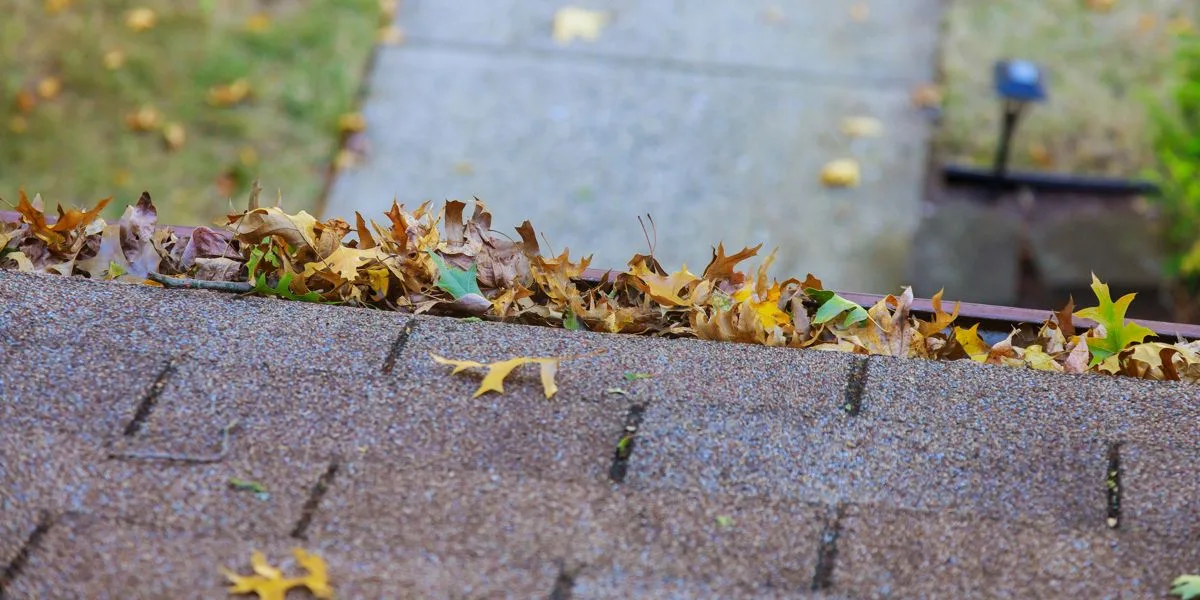 late-fall-eavestrough-leaves-november-ontario-pre-winter-clean Eavestrough packed with autumn leaves in November on an Ontario home requiring cleaning before the first hard freeze