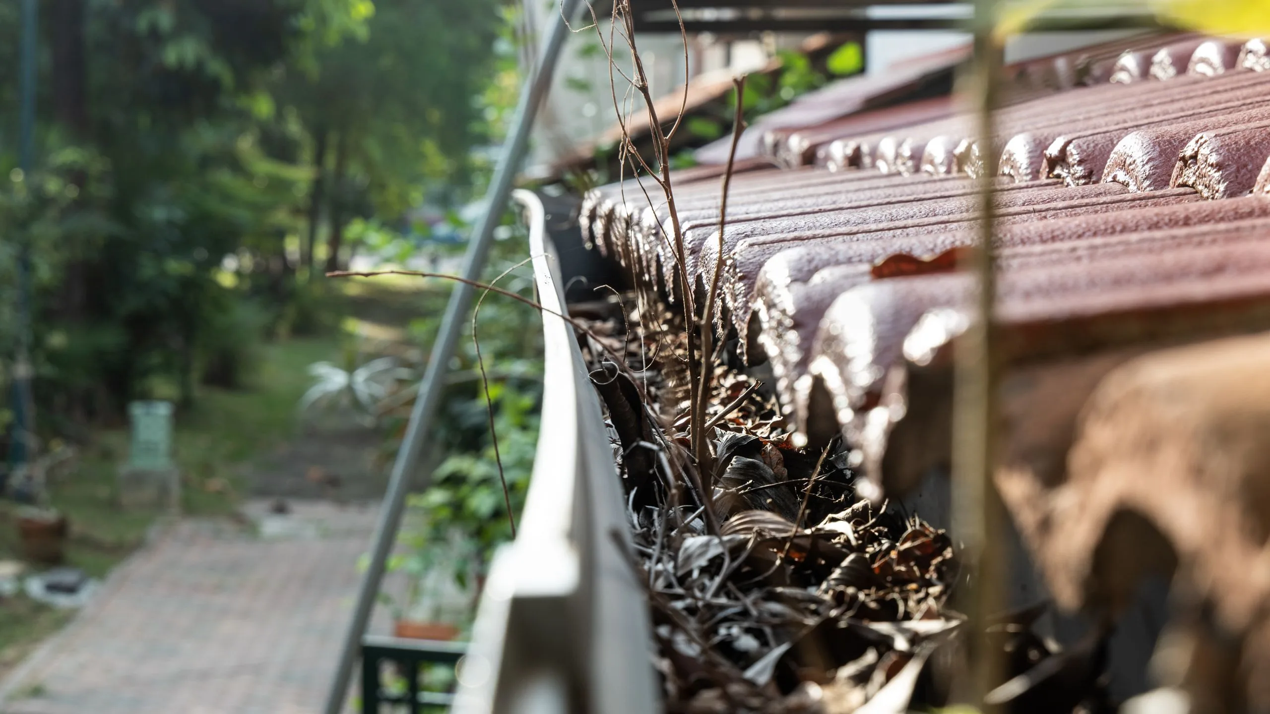 Shingle granule accumulation inside an eavestrough trough on an Ontario home indicating an aging roof approaching end of service life