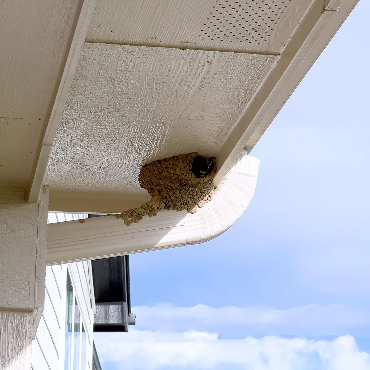 What Causes Sagging Soffit and How to Fix It – Image 1 What Causes Sagging Soffit and How to Fix It - Image 1